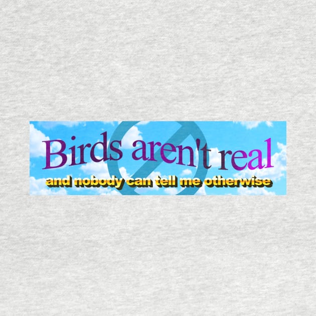 Birds aren't real (And nobody can convince me otherwise) by Big Tees